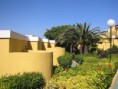 /album/galleria-foto-1/costa-calma-residence-fuerteventura-giardini-jpg/